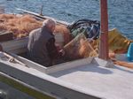 Repairing the nets